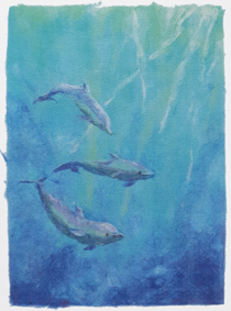 three dolphins playing